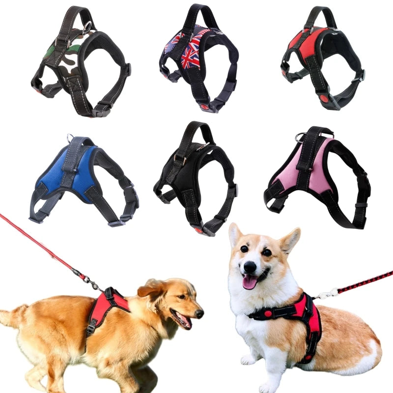 Peitoral Ajustável para Cães