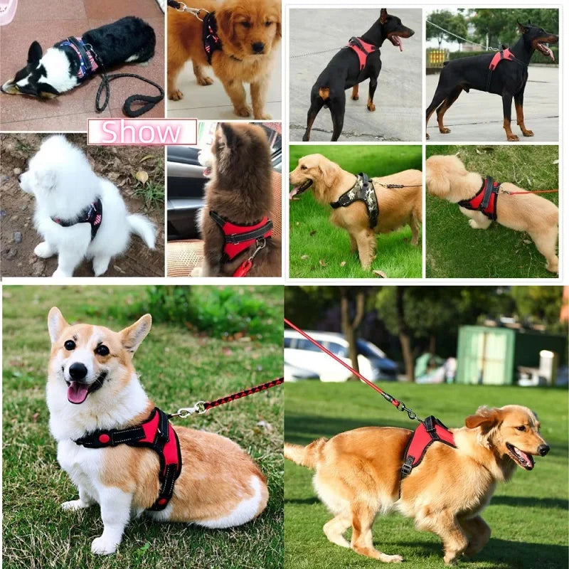 Peitoral Ajustável para Cães